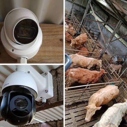 USING CCTV AND DIGITAL MONITORING TO TRANSFORM MODERN FARM MANAGEMENT